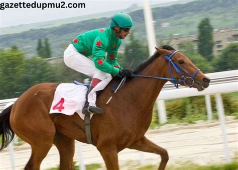 gagnant turf blogspot|TUYAUPLUSTURF .